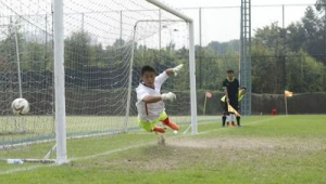 足球14号能否司职后卫？实力与战术考量下的探讨