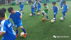 年轻人是否钟情足球？探寻足球在年轻群体中的热度真相