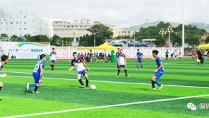 深圳踢足球的男生数量多吗？探寻这座城市的足球热情