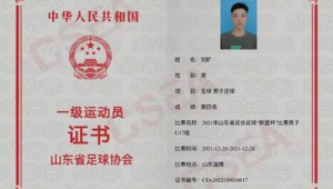 一级足球运动员证书有用吗？深度剖析其价值与影响