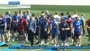 冰岛足球队庆祝动作引关注，究竟是在学哪支队？