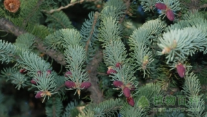 迎宾足球场需门票吗？一文为你揭晓答案