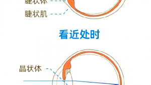 踢足球能否锻炼眼睛调节?带你一探究竟