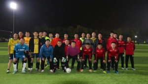 进足球俱乐部需要文化吗？深度剖析其背后的关键因素