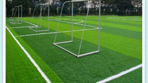 太原草坪是否建足球场，引发关注与期待