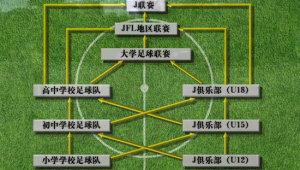 足球职业梯队建设成本大吗？解析背后的资金投入谜题
