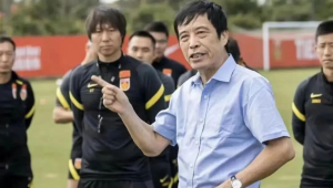 足球冲进球场是否犯法？背后法律问题深度剖析