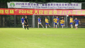 足球场真的不能惹裁判吗？探讨裁判权威与球员权益的微妙平衡