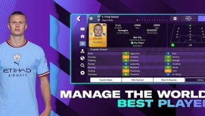 FM足球经理值得买吗？全方位剖析助你做决策