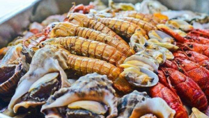 乙肝患者能否担任足球教练？相关因素与探讨要点