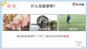 踢足球进渔网是否违法,你知道答案吗?