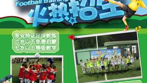 汶上是否有足球训练班？探寻当地足球培训情况