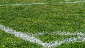 mg足球能否踢天然草地，这背后的真相你知道吗？