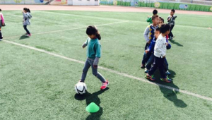 毽子与足球有关系吗？探究两者之间的关联与差异