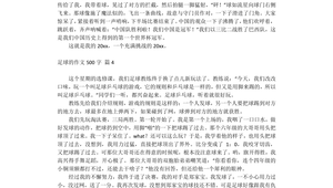 踢足球作文有题记素材吗