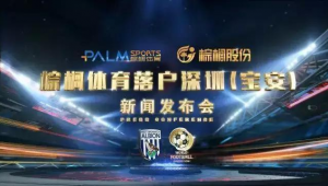 WFC足球是不是骗人的？真相究竟如何令人深思！