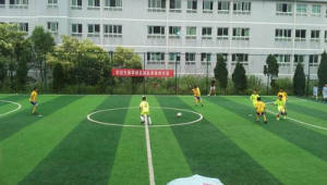 女足球裁判能否带护膝探讨