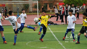 瓯北是否有专业踢足球的？探寻当地足球专业发展现状