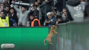 足球输了是否要罚款？当下这一话题引发热议