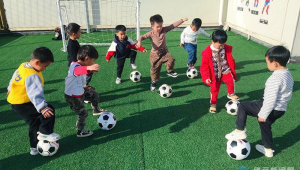 足球场用手拍球是否违法？规则解读与相关探讨