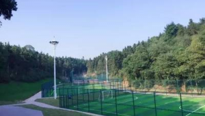 铁岗足球公园钓鱼收费情况究竟如何？快来一探究竟！