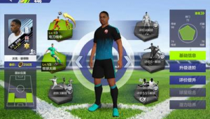 足球游戏中人物技能能否升级？
