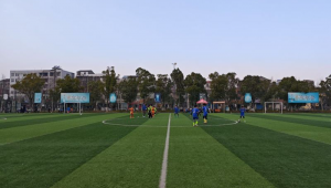 恒奥足球公园究竟有没有足球场？答案等你来揭晓