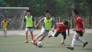 足球能用于练习排球吗？探究别样球类训练可行性