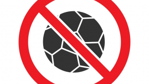 足球预算下能购置几种球类？可能性大揭秘