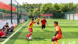 足球精神是否值得学习?探寻其背后的价值与启示