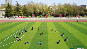 足球比赛队形能否变？探究赛场战术调整的奥秘