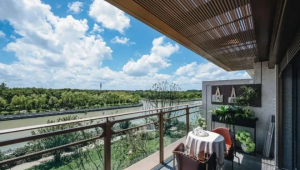 浦江郊野公园能否踢足球？这里的答案你知道吗