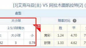 足球球盘中途停赛，钱会退吗？一文带你了解相关情况