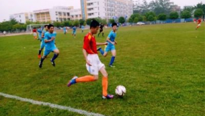 杨政眼中哪支足球队在赛场驰骋,展现别样精彩