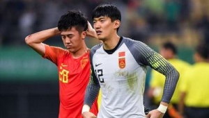 冰岛足球是否归化过球员