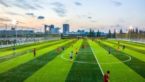 花园城足球价钱贵吗?一文带你了解其价格详情