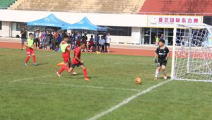 不是小学生可以学习足球吗