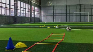 足球场草坪都是天然草坪吗？真相究竟如何