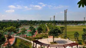 佛山足球场免费开放吗？一文带你了解相关情况