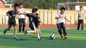 教育局是否重视踢足球？其态度对足球发展影响几何