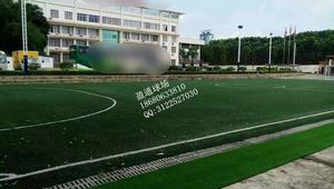 阜城有足球场吗现在还开放吗