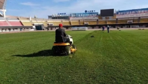 足球场平整后是否需要浇水?影响因素与实际考量