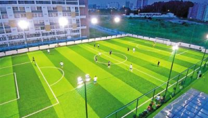 龙华足球场拍照是否收费？一文带你了解真实情况