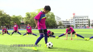 足球少年电视剧在哪个台播放