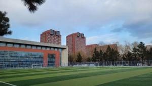 东北师范足球分数高吗？探究其足球成绩背后的真相