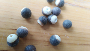 足球场黑色颗粒有毒吗？真相究竟如何，你了解吗？