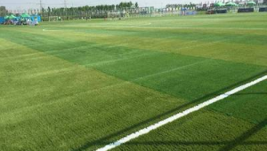 足球草皮边缘是否要粘牢？解析其必要性与影响因素