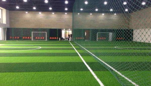 颠覆室内足球馆违法遭举报，背后真相究竟如何？