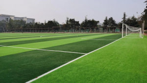 足球场不踢足球违法吗?探究其中法律界限与相关规定