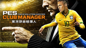 足球俱乐部经理收入高吗？薪资水平与行业地位深度剖析